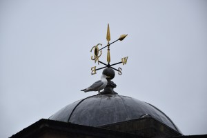 Pulteney Bridge guard