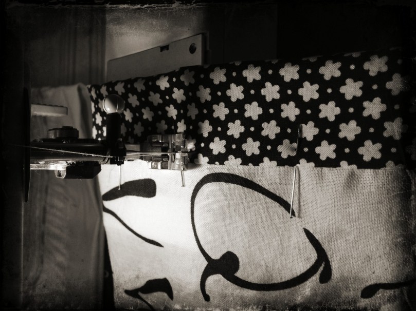 cucitura_esterna_fragulina