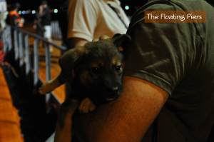 Rusty_the_floating_piers